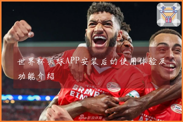 世界杯买球APP安装后的使用体验及功能介绍