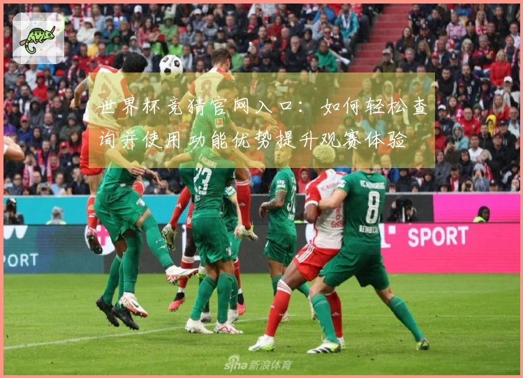 世界杯竞猜官网入口:如何轻松查询并使用功能优势提升观赛体验