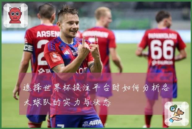 选择世界杯投注平台时如何分析各大球队的实力与状态