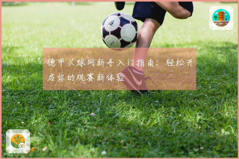 德甲买球网新手入门指南：轻松开启你的观赛新体验