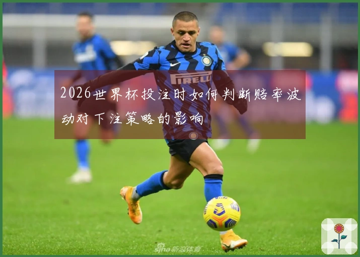 2026世界杯投注时如何判断赔率波动对下注策略的影响