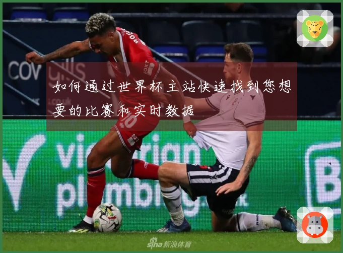 如何通过世界杯主站快速找到您想要的比赛和实时数据