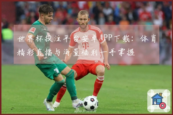 世界杯投注平台安卓APP下载:体育精彩直播与海量福利一手掌握