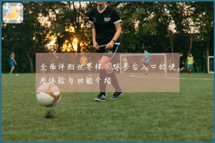 全面评测世界杯买球平台入口的使用体验与功能介绍