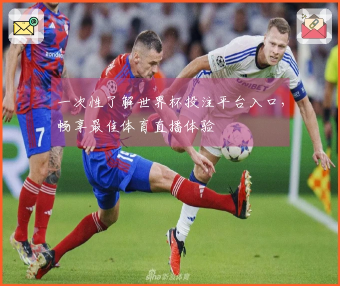 一次性了解世界杯投注平台入口，畅享最佳体育直播体验