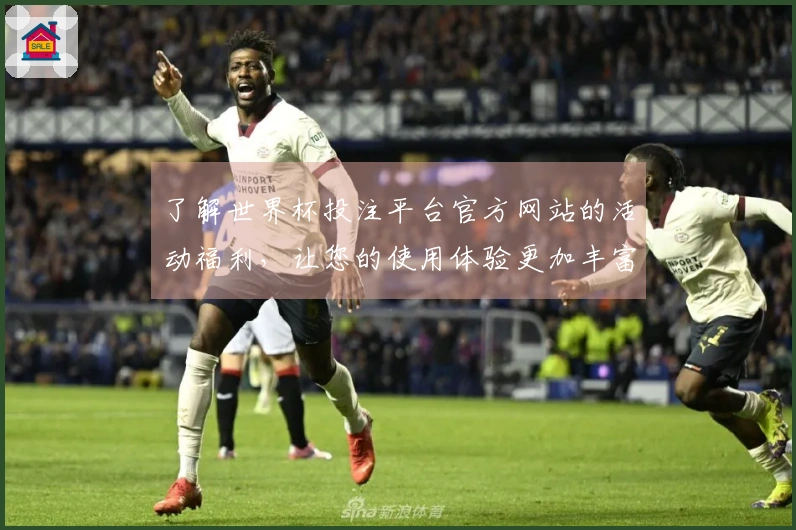 了解世界杯投注平台官方网站的活动福利,让您的使用体验更加丰富!