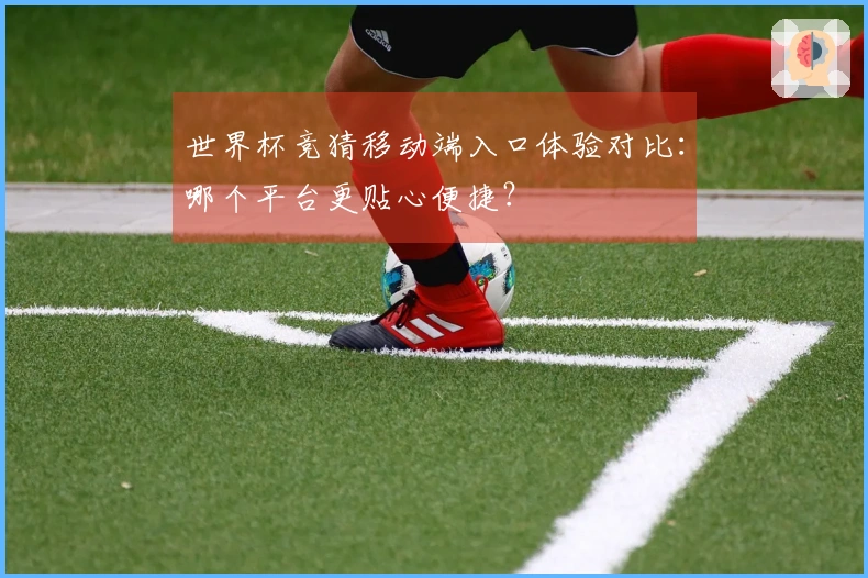 世界杯竞猜移动端入口体验对比：哪个平台更贴心便捷？