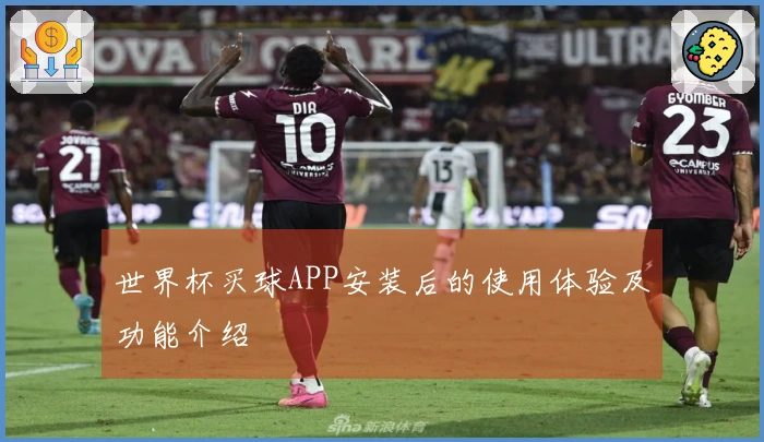 世界杯买球APP安装后的使用体验及功能介绍